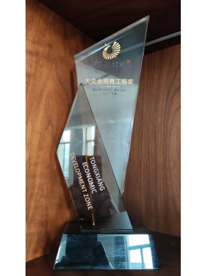 桐鄉(xiāng)經(jīng)濟(jì)開發(fā)區(qū)(高橋街道) 大企業(yè)培育工程獎