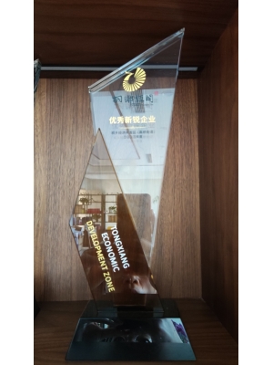 桐鄉(xiāng)經(jīng)濟(jì)開發(fā)區(qū)(高橋街道) 優(yōu)秀新銳企業(yè)